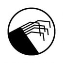 Digital tsunami logo_atitrauktas nuo kraštų